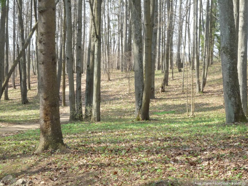 Тверская симфония. Берново