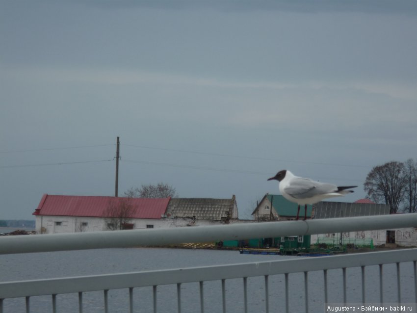 Тверская симфония. Красное, Торжок, Нило-Столобенская обитель, Домотканово