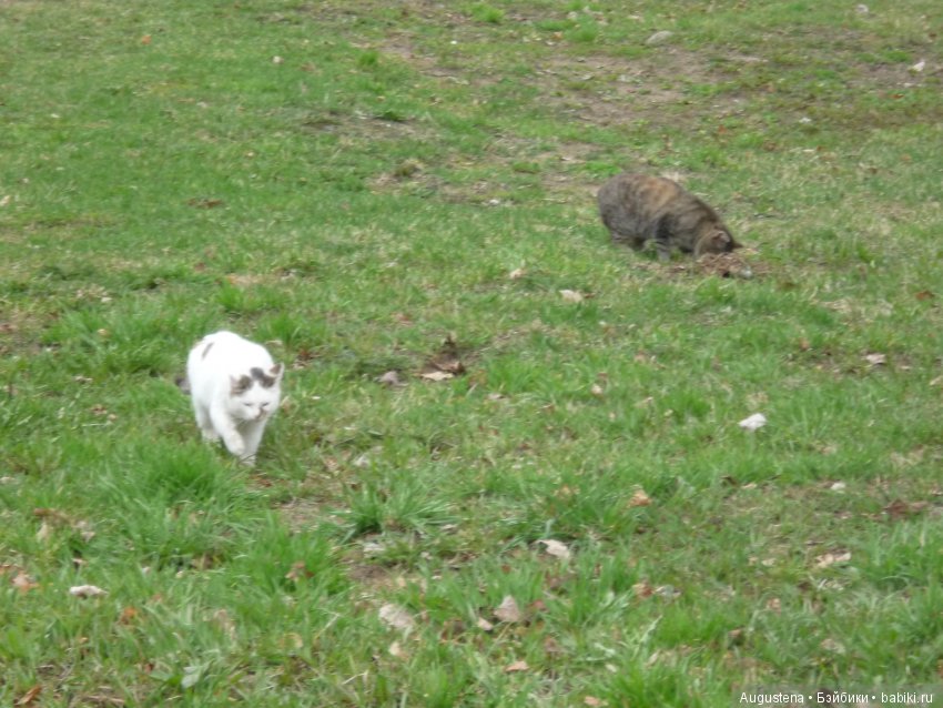 Тверская симфония. Красное, Торжок, Нило-Столобенская обитель, Домотканово