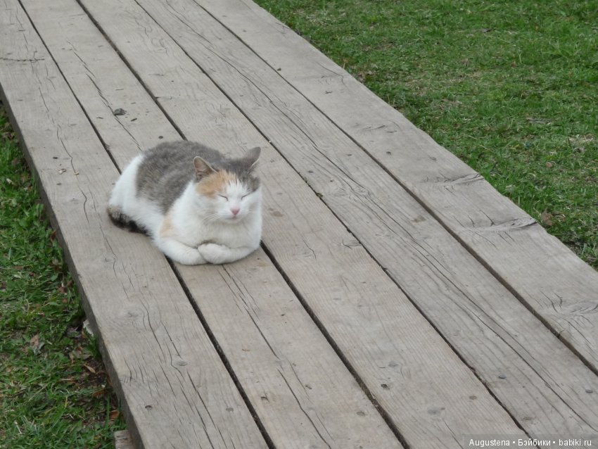 Тверская симфония. Красное, Торжок, Нило-Столобенская обитель, Домотканово