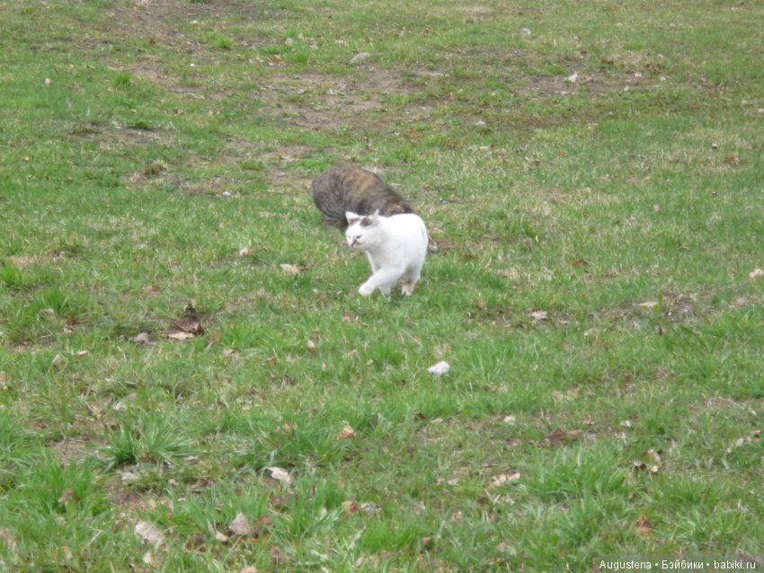 Тверская симфония. Красное, Торжок, Нило-Столобенская обитель, Домотканово