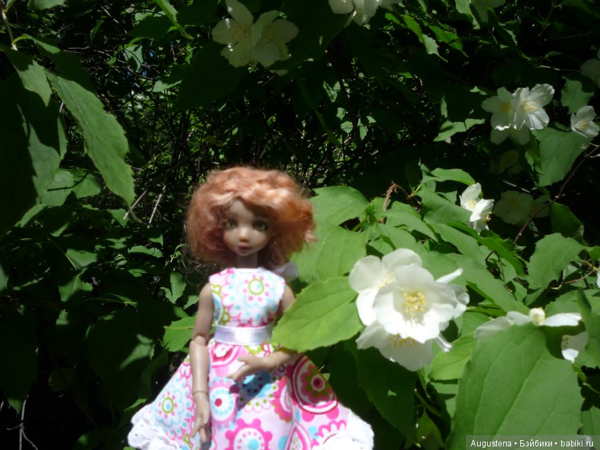 Презентация Коти на конкурс " Мисс Бейбики 2018"