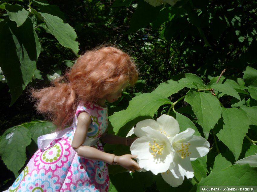 Презентация Коти на конкурс " Мисс Бейбики 2018"