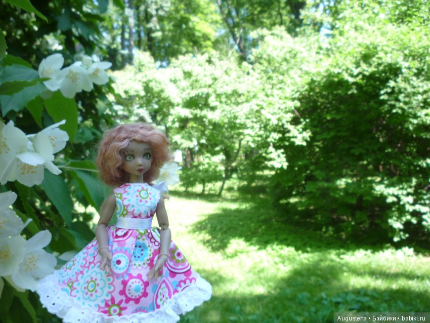 Презентация Коти на конкурс " Мисс Бейбики 2018"