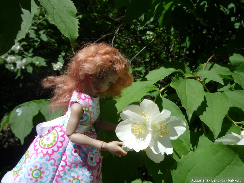 Презентация Коти на конкурс " Мисс Бейбики 2018"