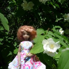 Презентация Коти на конкурс " Мисс Бейбики 2018"