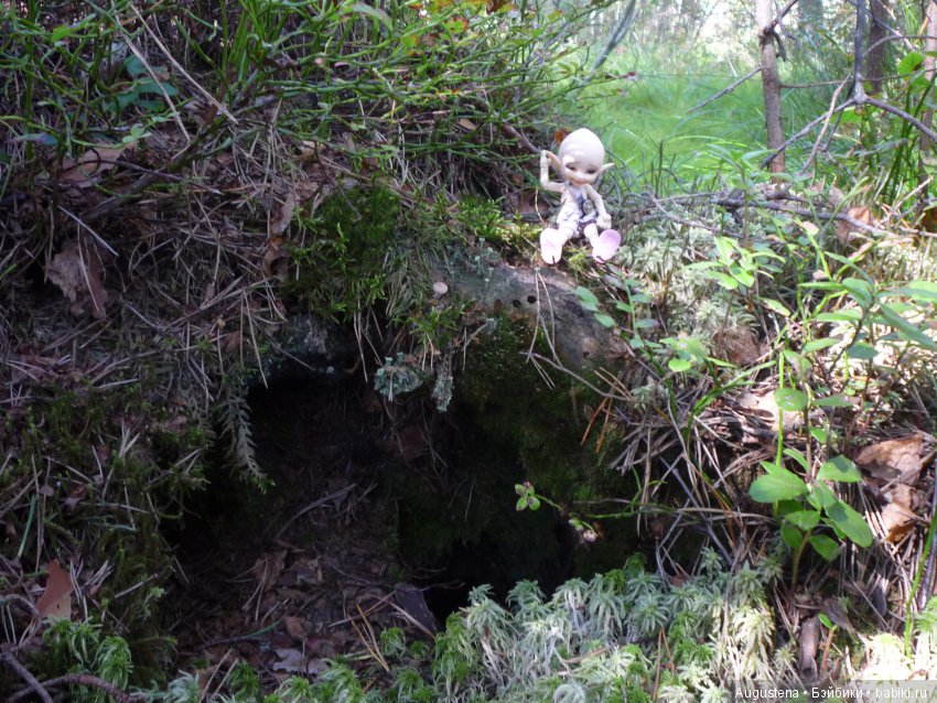 Светлый лес | Бэйбики Светлый лес — Куклы Fairyland (ФэйриЛэнд): BJD (БЖД)