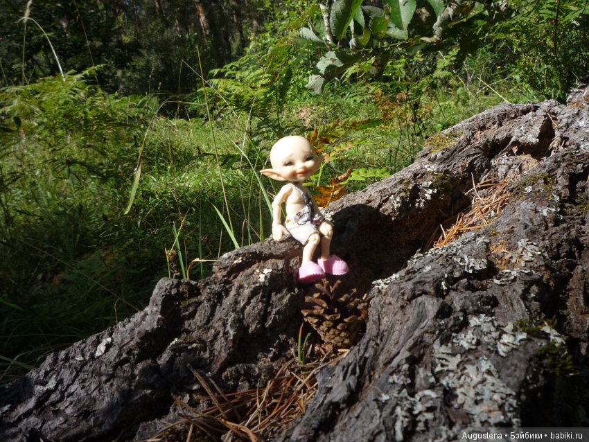 Светлый лес | Бэйбики Светлый лес — Куклы Fairyland (ФэйриЛэнд): BJD (БЖД) (фото 5)