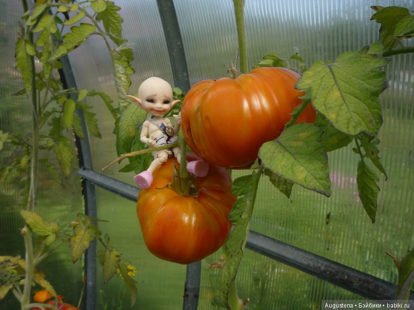 Хорошо в гостях | Бэйбики Хорошо в гостях — Куклы Fairyland (ФэйриЛэнд): BJD (БЖД) (фото 6)