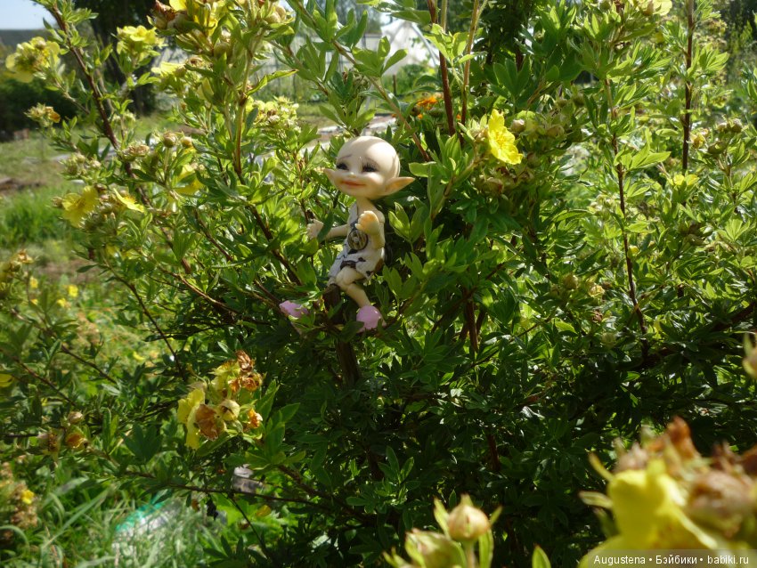 Хорошо в гостях | Бэйбики Хорошо в гостях — Куклы Fairyland (ФэйриЛэнд): BJD (БЖД) (фото 4)