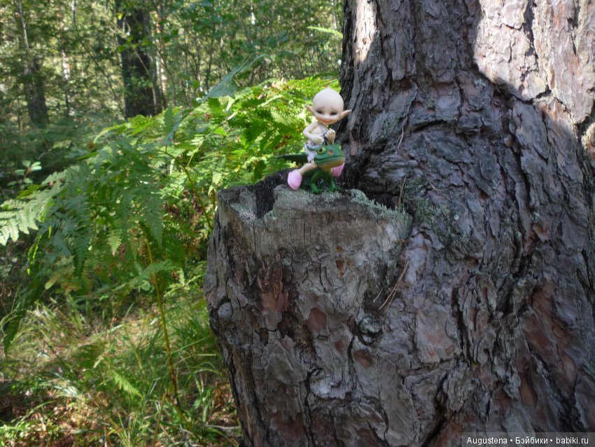 Светлый лес | Бэйбики Светлый лес — Куклы Fairyland (ФэйриЛэнд): BJD (БЖД)