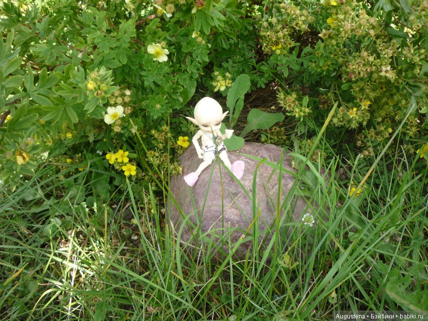 Хорошо в гостях | Бэйбики Хорошо в гостях — Куклы Fairyland (ФэйриЛэнд): BJD (БЖД) (фото 8)