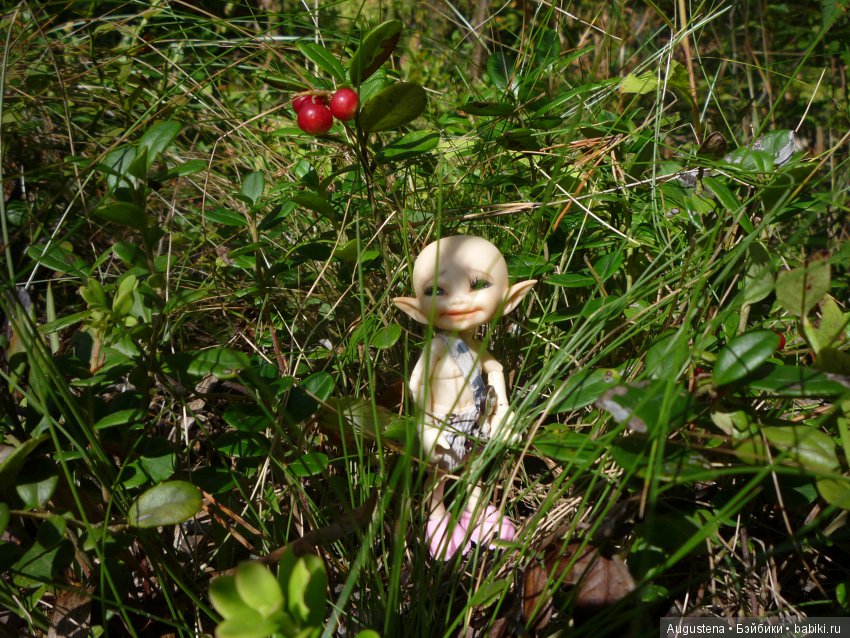 Светлый лес | Бэйбики Светлый лес — Куклы Fairyland (ФэйриЛэнд): BJD (БЖД) (фото 2)