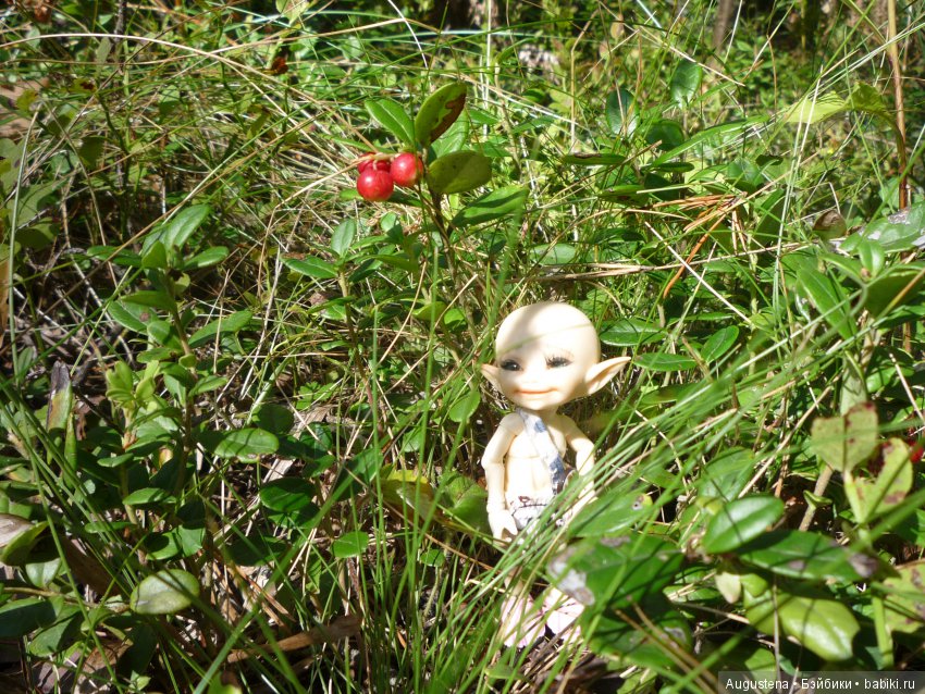 Светлый лес | Бэйбики Светлый лес — Куклы Fairyland (ФэйриЛэнд): BJD (БЖД)