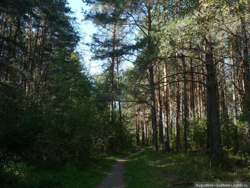 Светлый лес | Бэйбики Светлый лес — Куклы Fairyland (ФэйриЛэнд): BJD (БЖД) (фото 9)