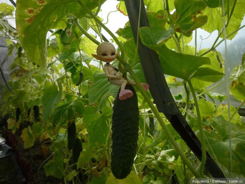 Хорошо в гостях | Бэйбики Хорошо в гостях — Куклы Fairyland (ФэйриЛэнд): BJD (БЖД) (фото 7)