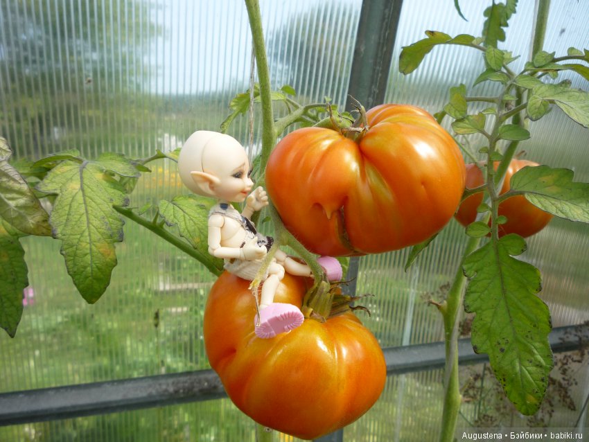 Хорошо в гостях | Бэйбики Хорошо в гостях — Куклы Fairyland (ФэйриЛэнд): BJD (БЖД) (фото 5)