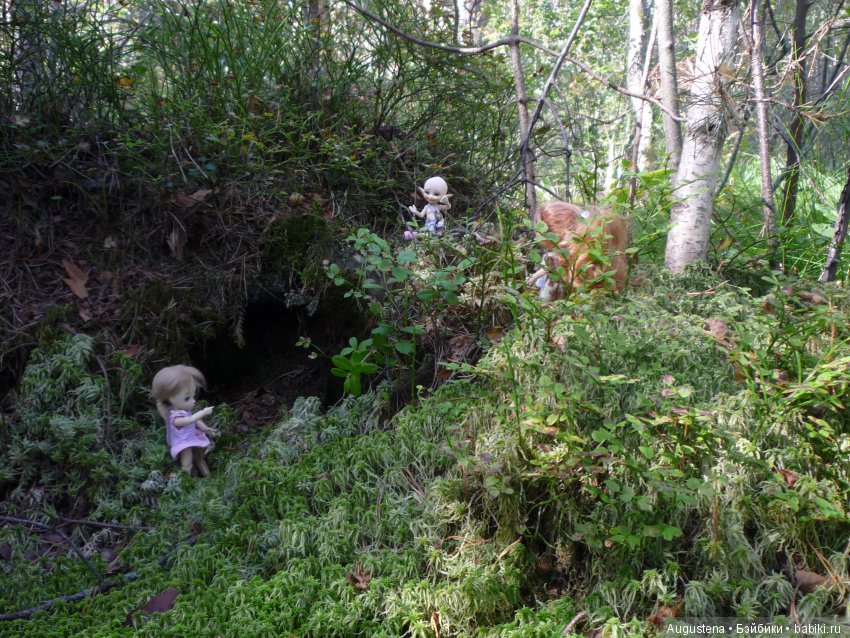 Светлый лес | Бэйбики Светлый лес — Куклы Fairyland (ФэйриЛэнд): BJD (БЖД)
