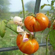 Хорошо в гостях