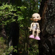 Светлый лес