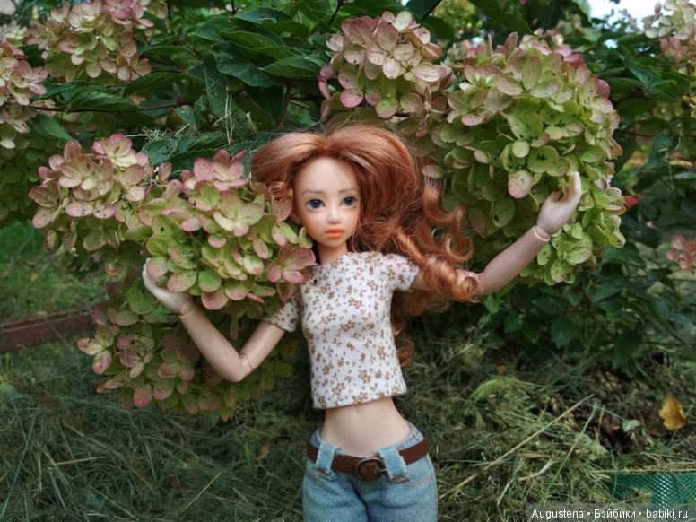 Две гортензии — Куклы и тела Obitsu (Обитсу): 1/6