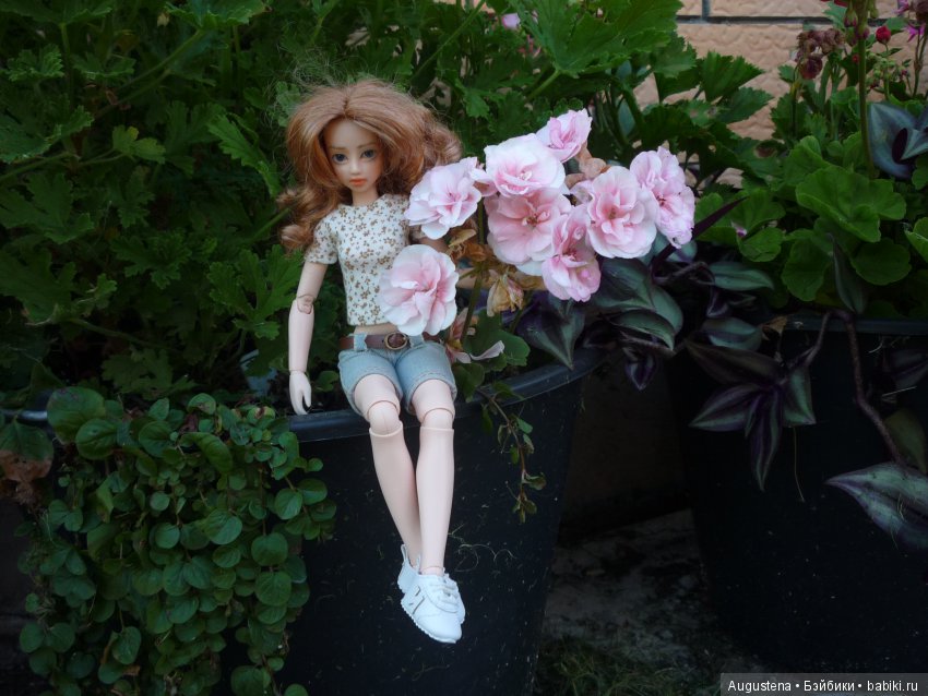 Две гортензии — Куклы и тела Obitsu (Обитсу): 1/6 (фото 10)