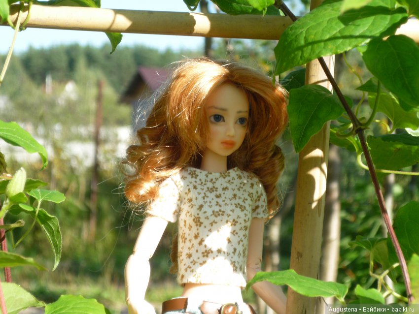 Куклы и тела Obitsu (Обитсу): 1/6 (фото 3)