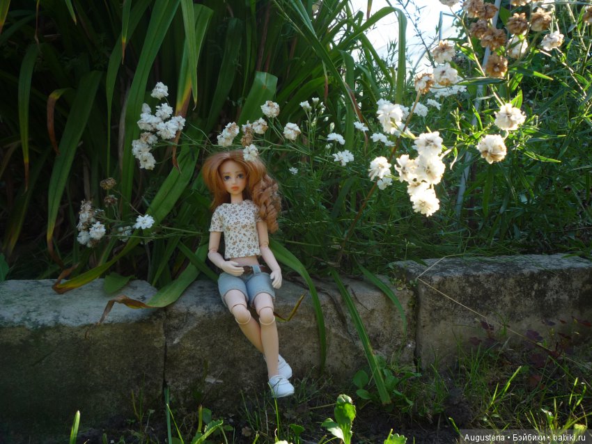 Две гортензии — Куклы и тела Obitsu (Обитсу): 1/6