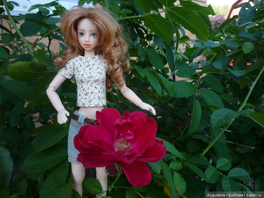 Две гортензии — Куклы и тела Obitsu (Обитсу): 1/6 (фото 6)