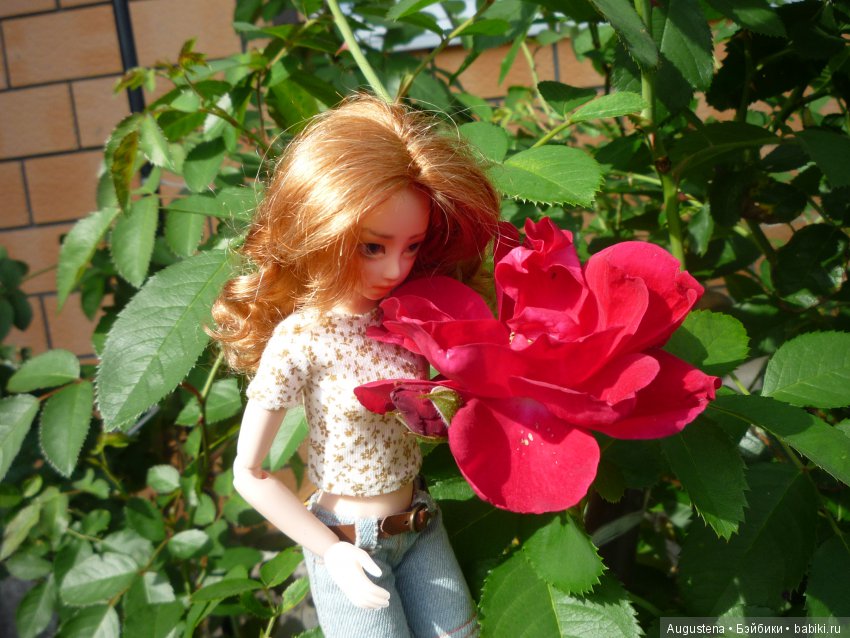 Две гортензии — Куклы и тела Obitsu (Обитсу): 1/6 (фото 7)