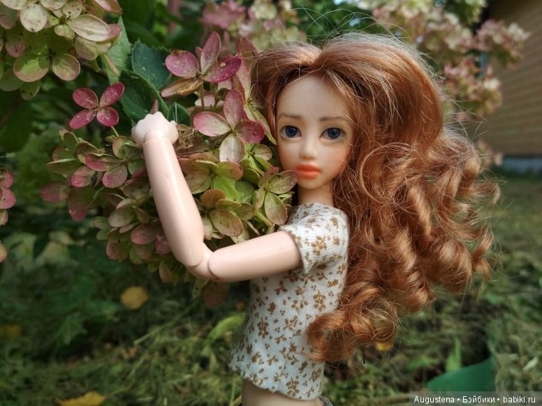 Две гортензии — Куклы и тела Obitsu (Обитсу): 1/6 (фото 3)