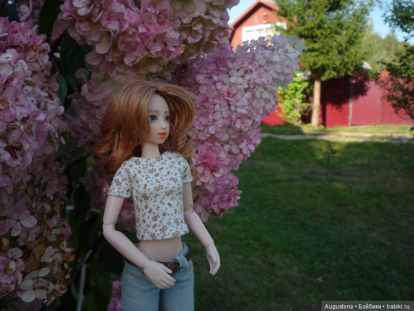 Две гортензии — Куклы и тела Obitsu (Обитсу): 1/6 (фото 9)