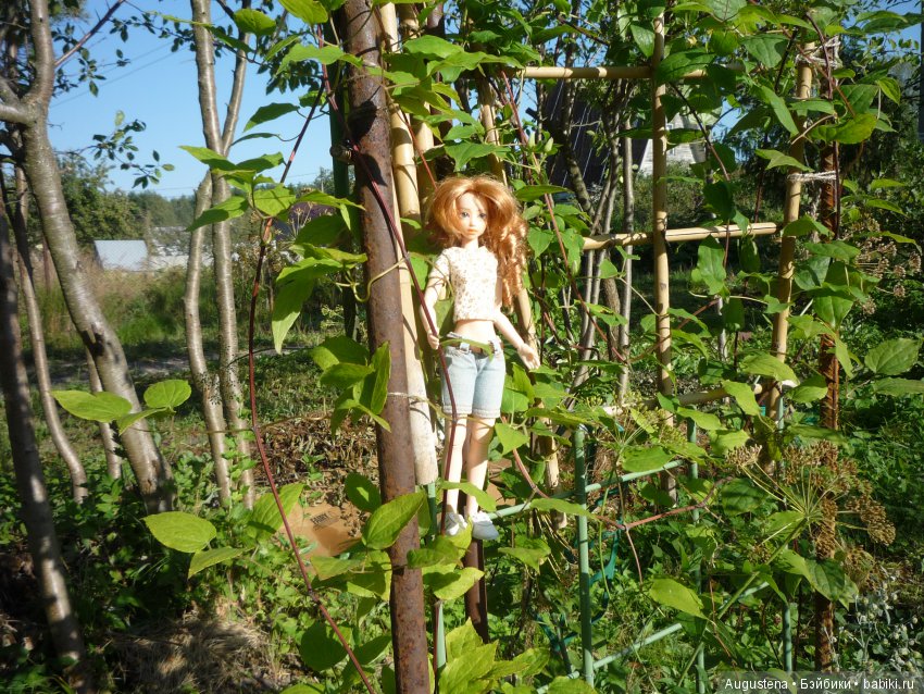 Куклы и тела Obitsu (Обитсу): 1/6 (фото 6)