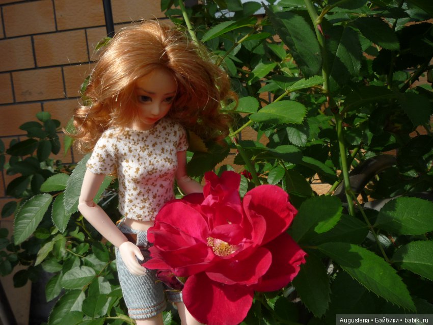 Две гортензии — Куклы и тела Obitsu (Обитсу): 1/6 (фото 8)