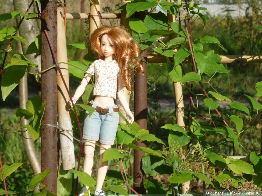 Куклы и тела Obitsu (Обитсу): 1/6 (фото 4)