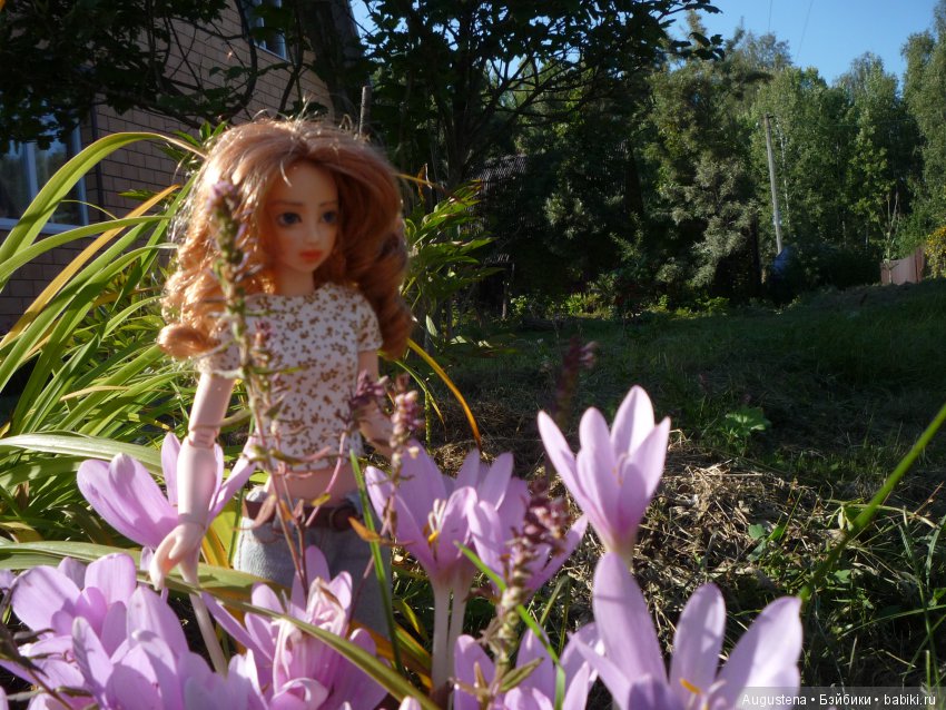 Куклы и тела Obitsu (Обитсу): 1/6