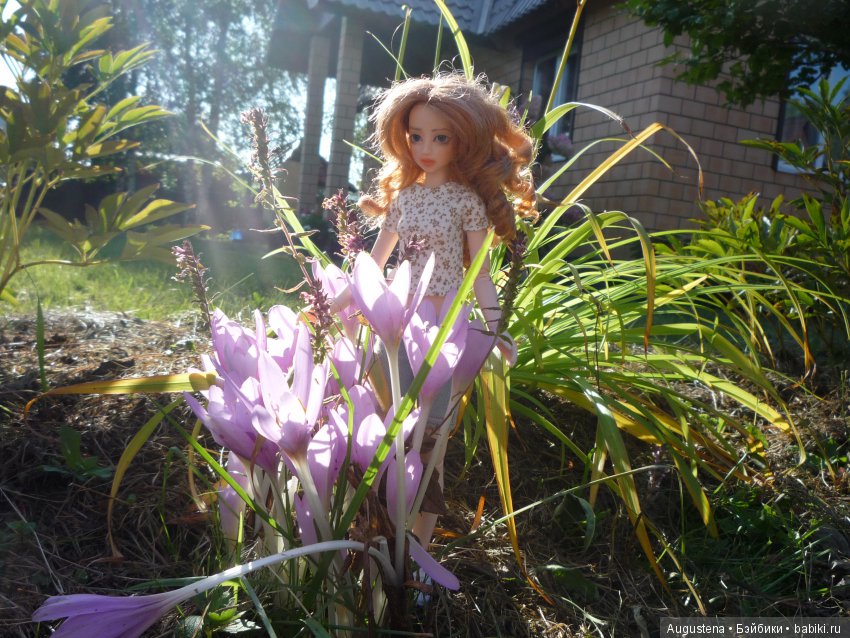 Две гортензии — Куклы и тела Obitsu (Обитсу): 1/6