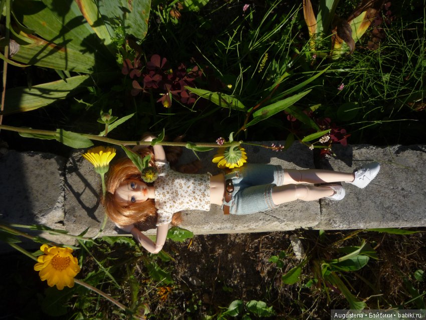 Две гортензии — Куклы и тела Obitsu (Обитсу): 1/6