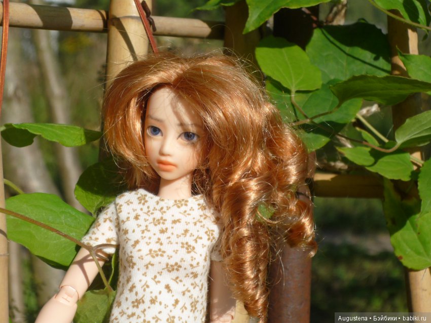 Куклы и тела Obitsu (Обитсу): 1/6 (фото 5)