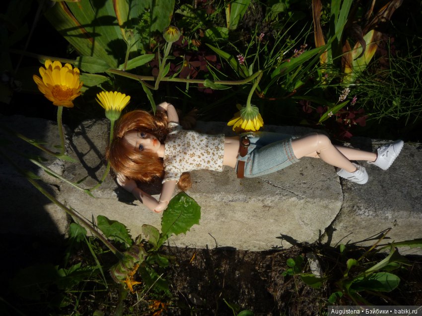 Две гортензии — Куклы и тела Obitsu (Обитсу): 1/6