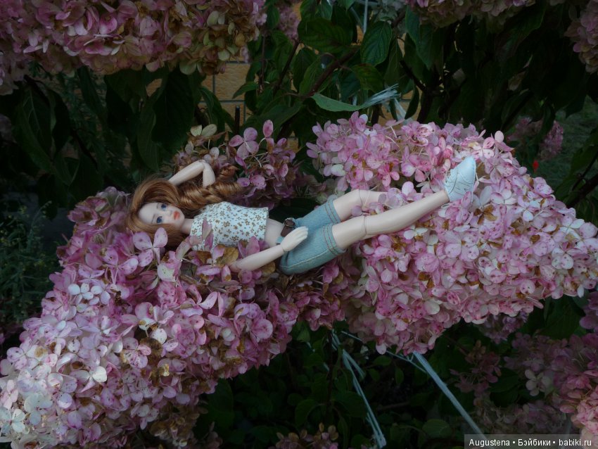 Две гортензии — Куклы и тела Obitsu (Обитсу): 1/6