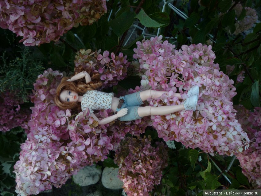 Две гортензии — Куклы и тела Obitsu (Обитсу): 1/6