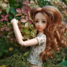 Две гортензии