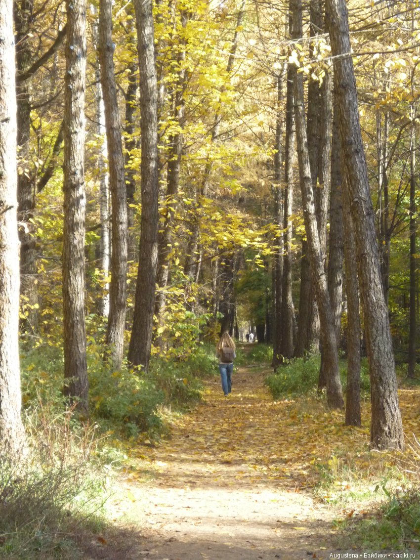 Октябрьский Подснежник — Фотоистории с куклами BJD (БЖД): сериалы (фото 2)