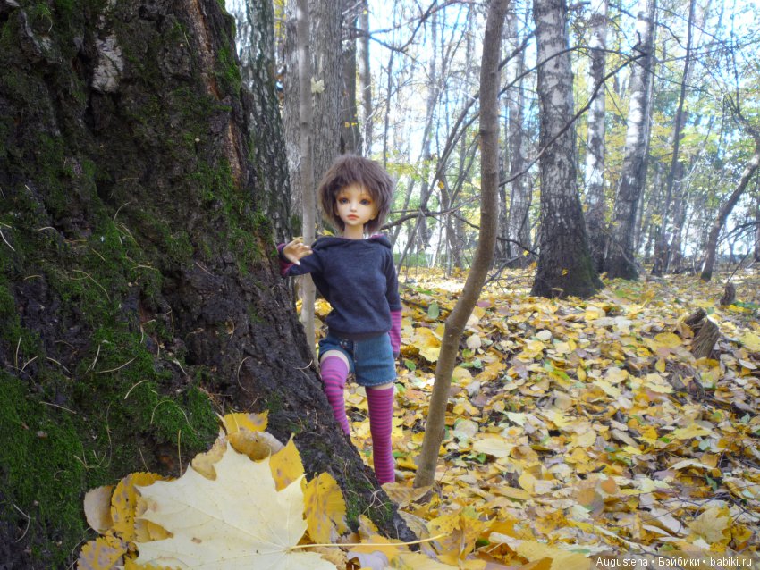 Октябрьский Подснежник — Фотоистории с куклами BJD (БЖД): сериалы