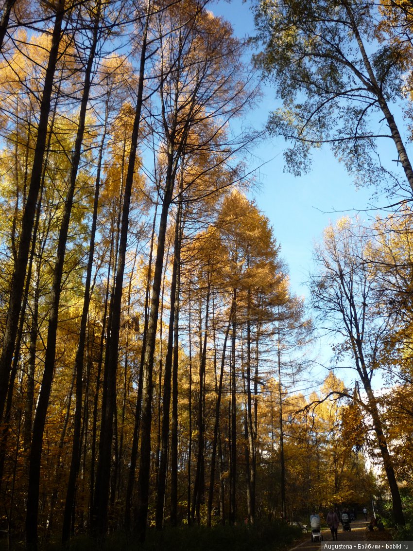 Октябрьский Подснежник — Фотоистории с куклами BJD (БЖД): сериалы