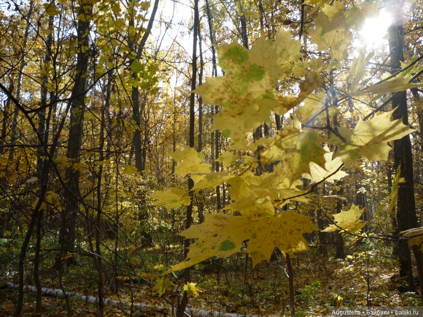 Октябрьский Подснежник — Фотоистории с куклами BJD (БЖД): сериалы