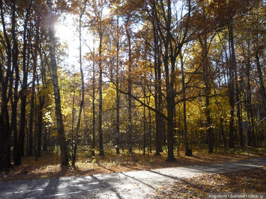 Октябрьский Подснежник — Фотоистории с куклами BJD (БЖД): сериалы