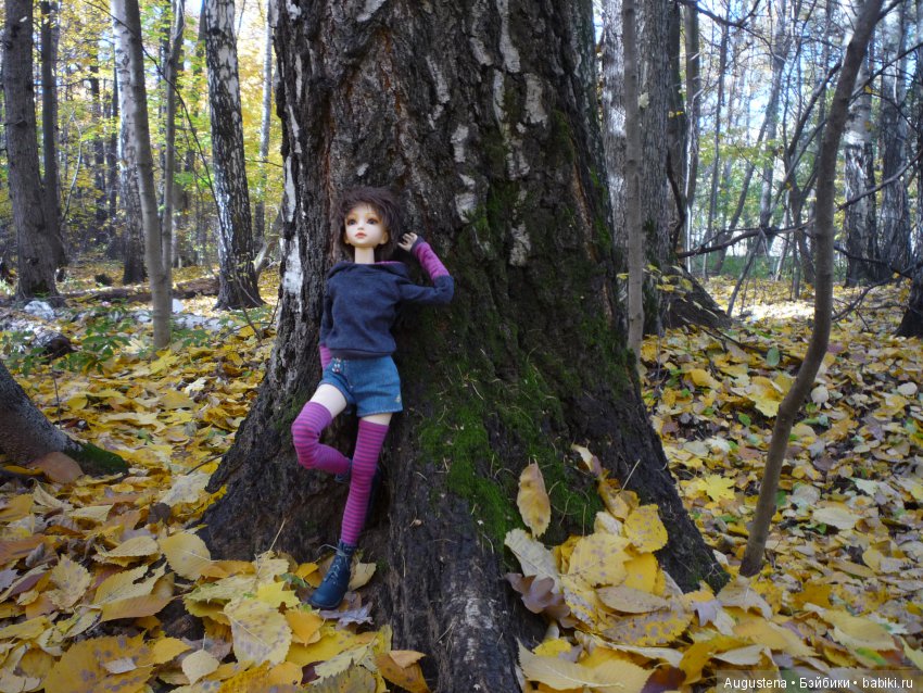 Октябрьский Подснежник — Фотоистории с куклами BJD (БЖД): сериалы