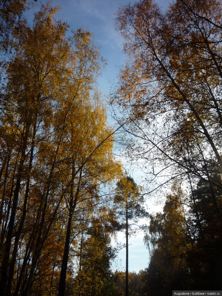 Октябрьский Подснежник — Фотоистории с куклами BJD (БЖД): сериалы